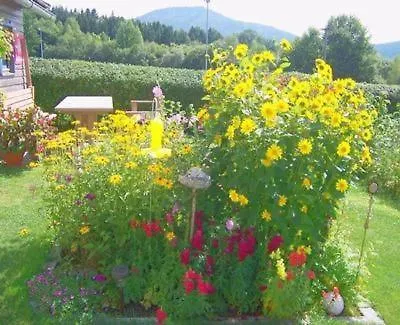 Mit Terrasse, Garten Und Grill * Böbrach